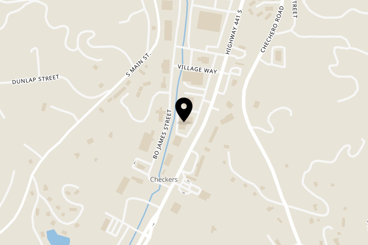 Map showing the location of Hokkie Asian Kitchen on 596 Hwy 441 in Clayton